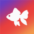 金鱼存图头像制作app最新版