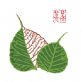 华膜商城v1.0.0 正式版